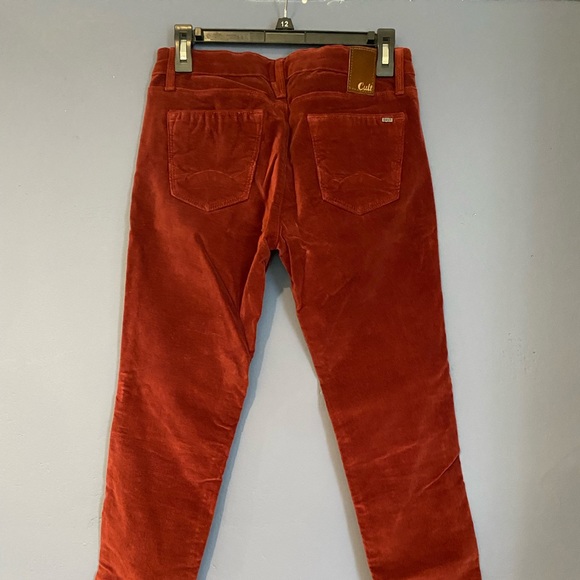 Cult of Individuality Velvet Rust Colored pants - Picture 2 of 3